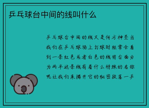 乒乓球台中间的线叫什么